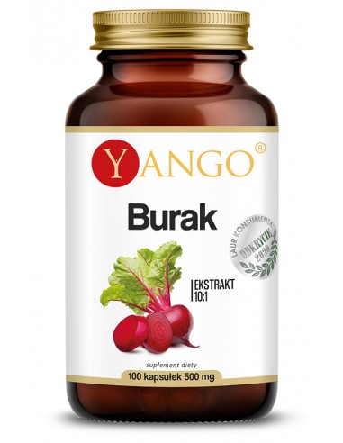 Burak - ekstrakt 10:1 - 100 kaps.