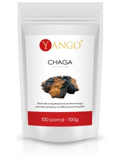 Chaga - ekstrakt - 100g