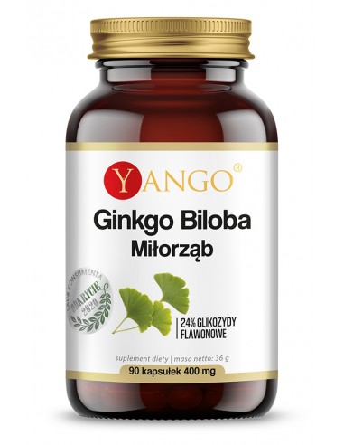 Ginkgo biloba - Miłorząb japoński -...