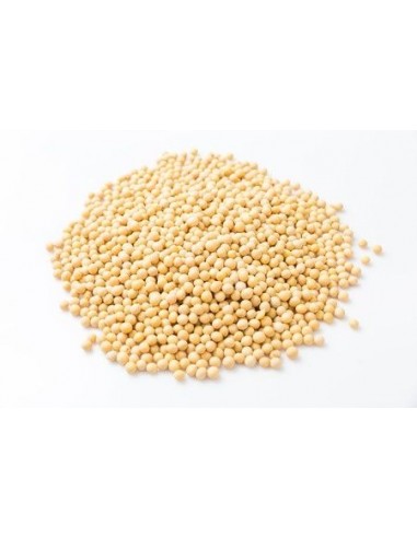 SOJA BIO (SUROWIEC) (25 kg) 7