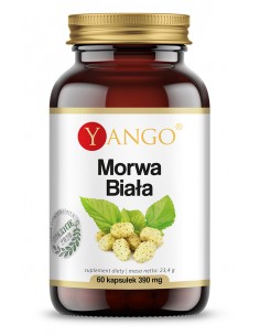 Morwa biała - ekstrakt - 60...