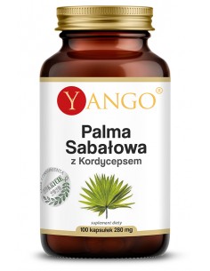 Palma sabałowa z...