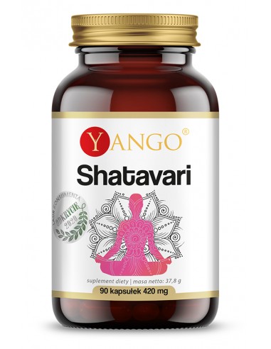 Shatavari - ekstrakt - 90 kaps.