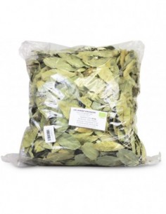 LIŚĆ LAUROWY BIO 500 g -...