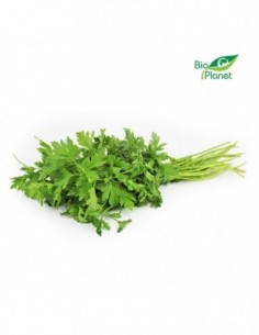 NATKA PIETRUSZKI ŚWIEŻA BIO...