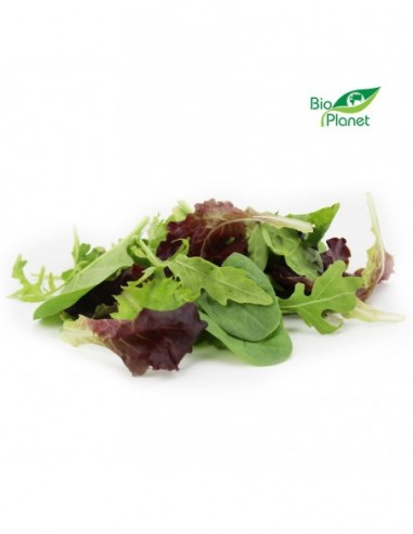 MIX SAŁAT ŚWIEŻY NIEMYTY BIO (około...