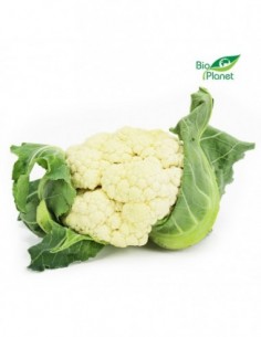 KALAFIOR ŚWIEŻY BIO...